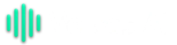 Voices AI Voices AI
